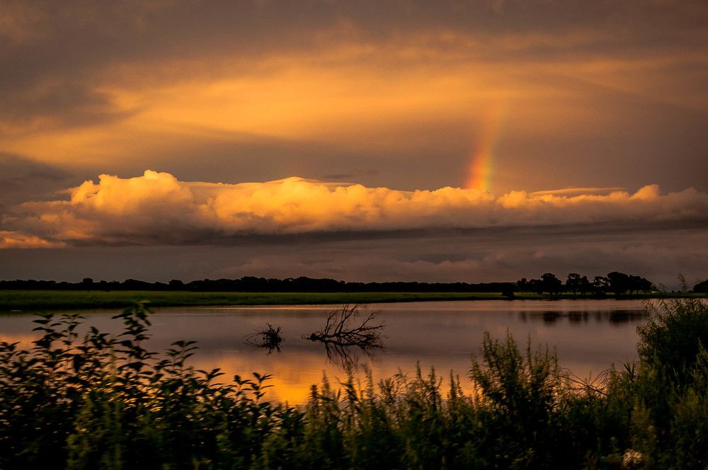 Photograph by Лариса Крышталь