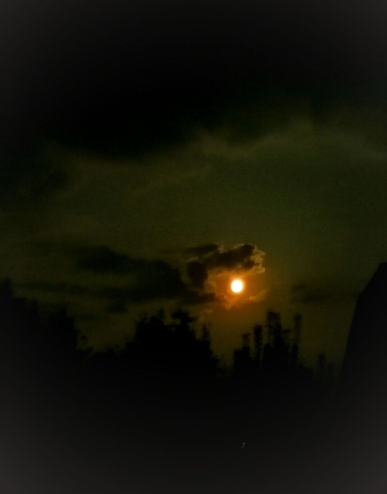 Photograph by Ирина Зима