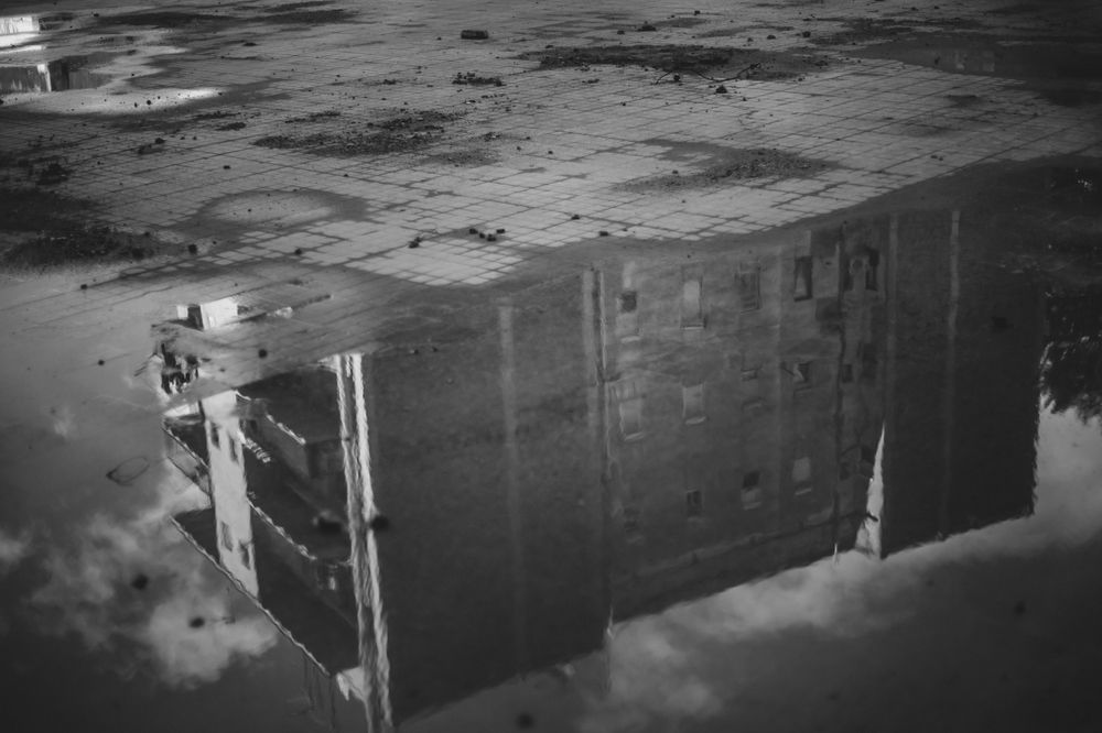 Photograph by Paulina Quiroz