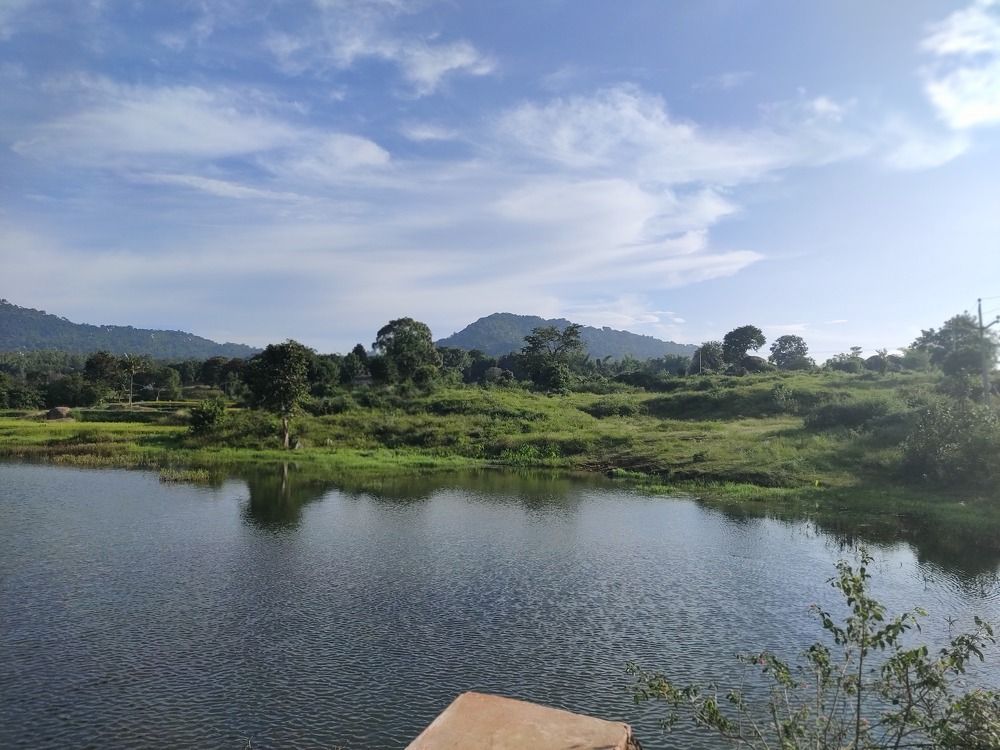 Photograph by Diwakaran D