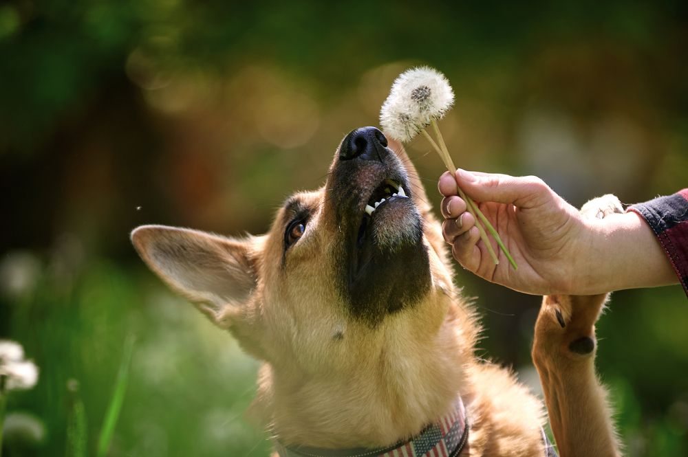 Фотография автора Дарина Матасова