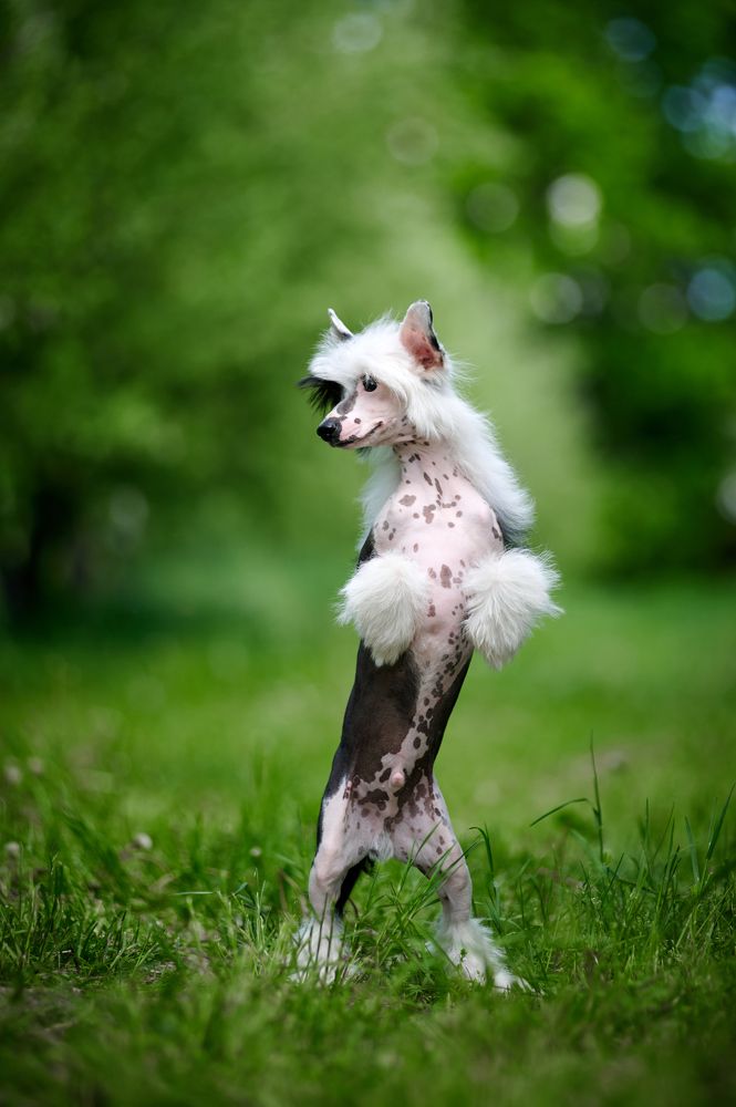 Фотография автора Дарина Матасова