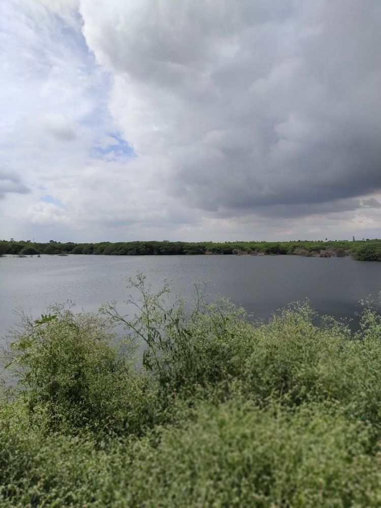 Photograph by Diwakaran D