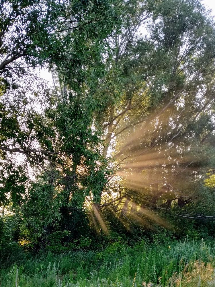 Photograph by Сергей Морозов