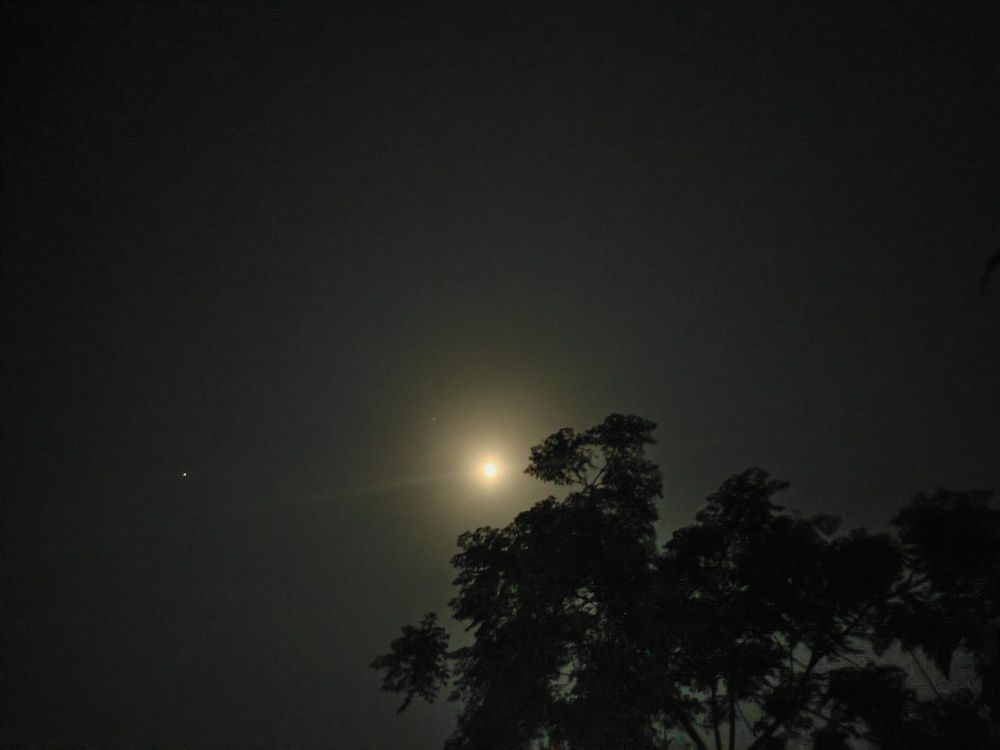 Photograph by Shahriar Ahmed