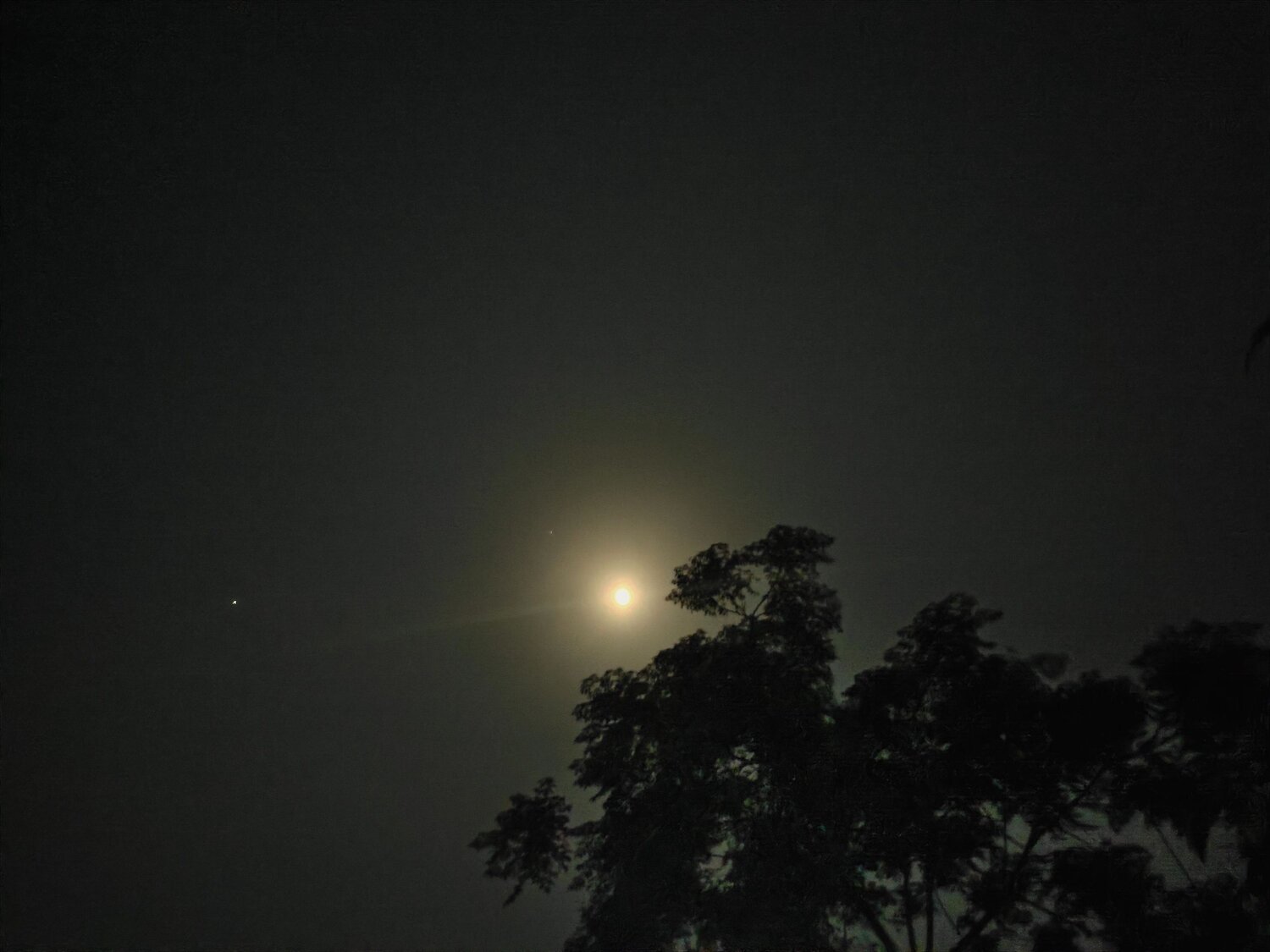 Photo #6144461