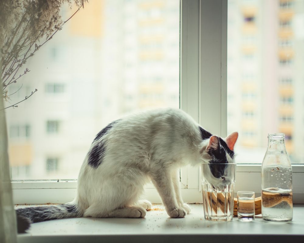 Photograph by Алена