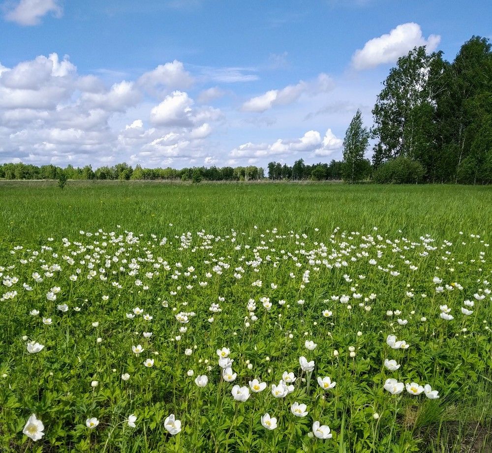 Photograph by Сергей Морозов