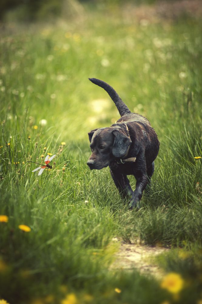 Photograph by Алена