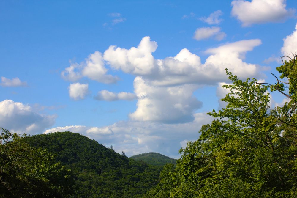 Photograph by Наталья Степченко