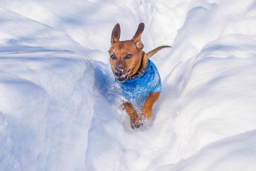 Photograph by Ирина