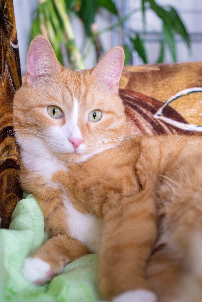 Photograph by Ирина