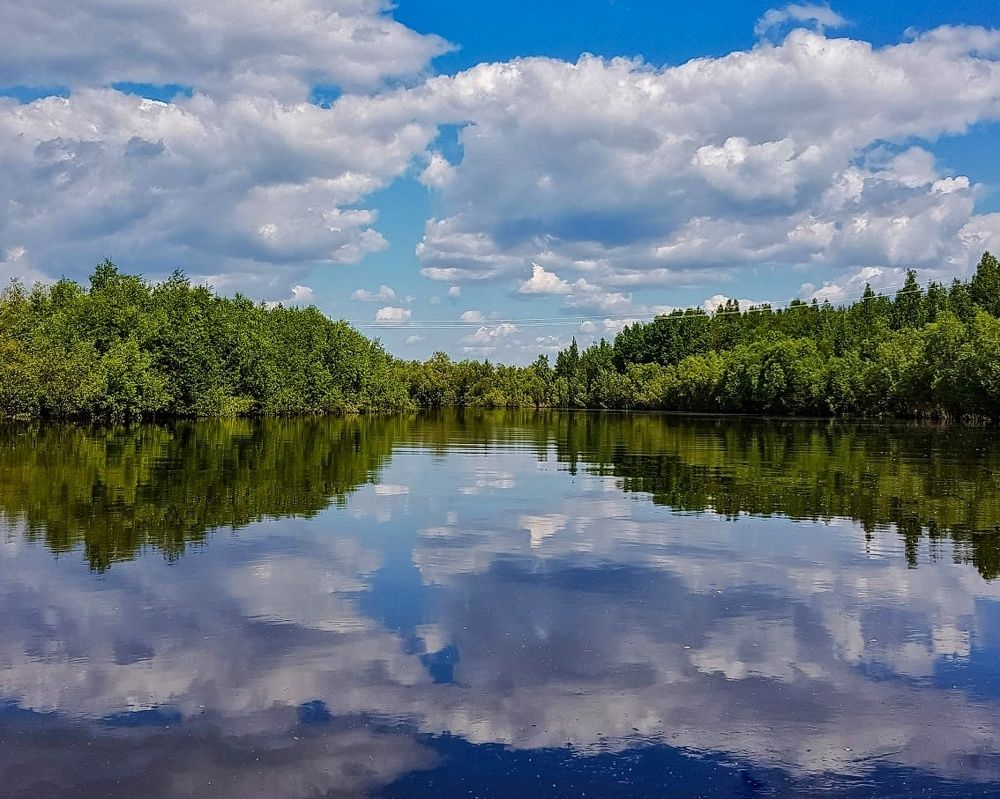 Photograph by Татьяна Мельникова