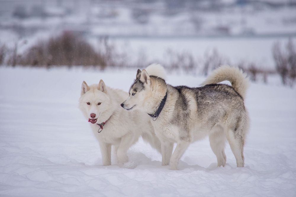 Photograph by Ирина