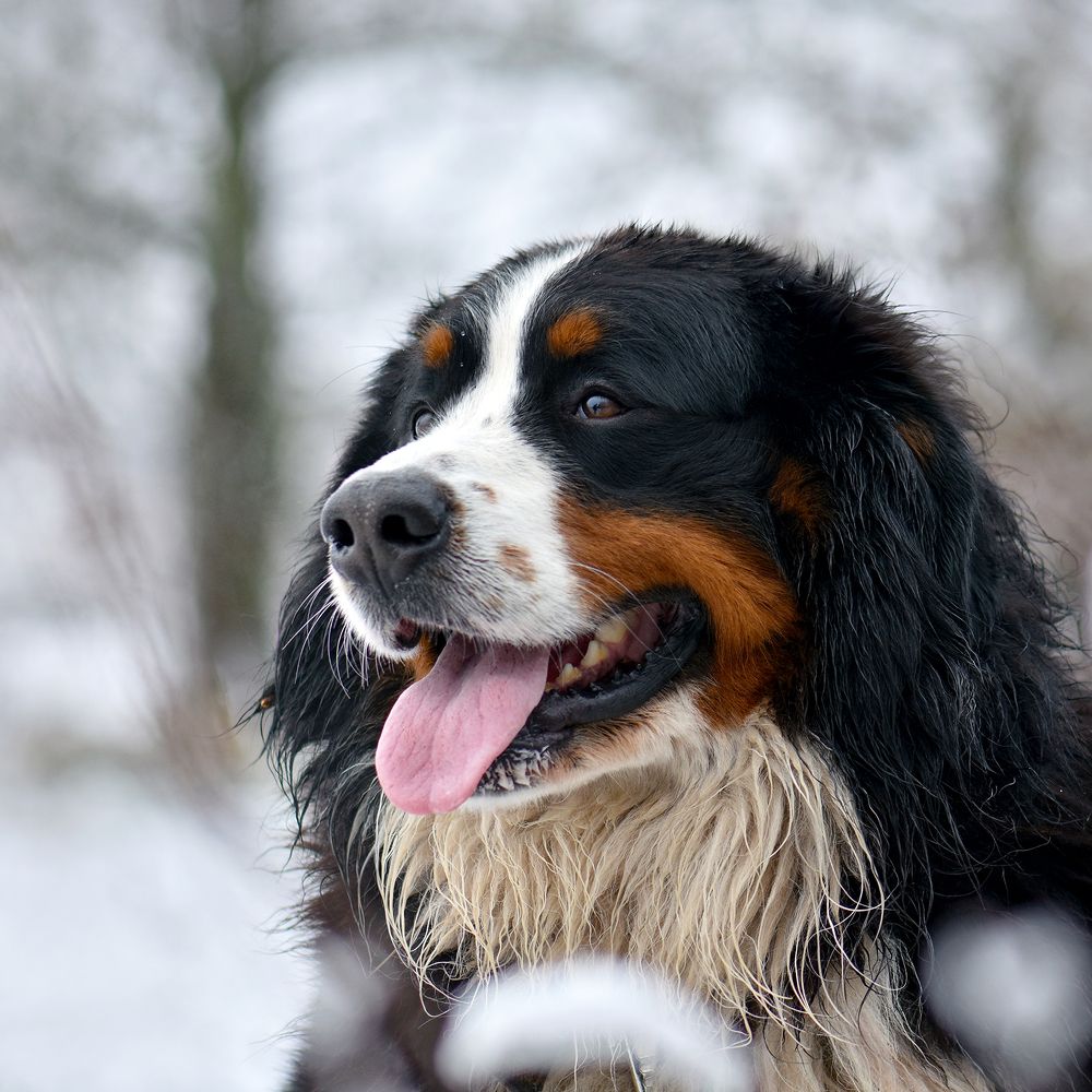 Photograph by Ольга Никулина