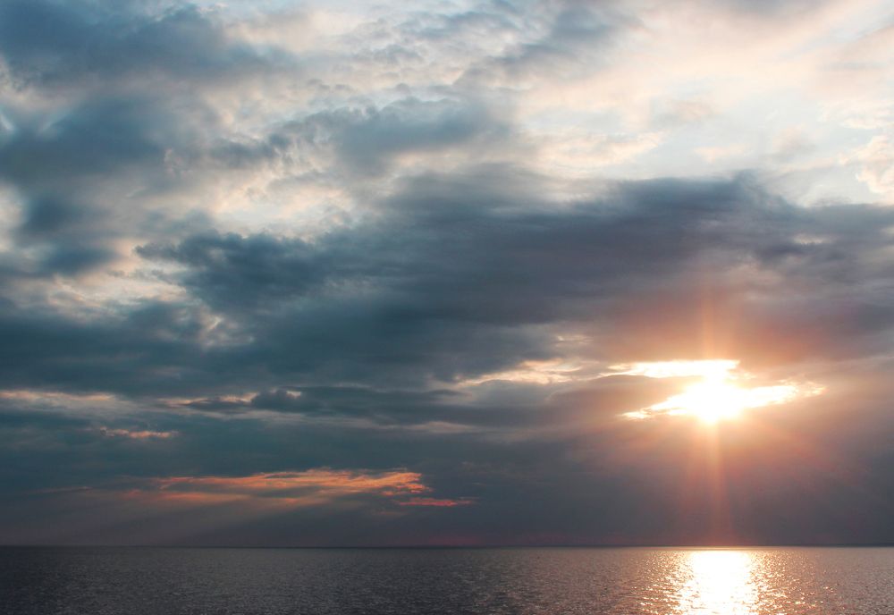 Photograph by Jul Owl