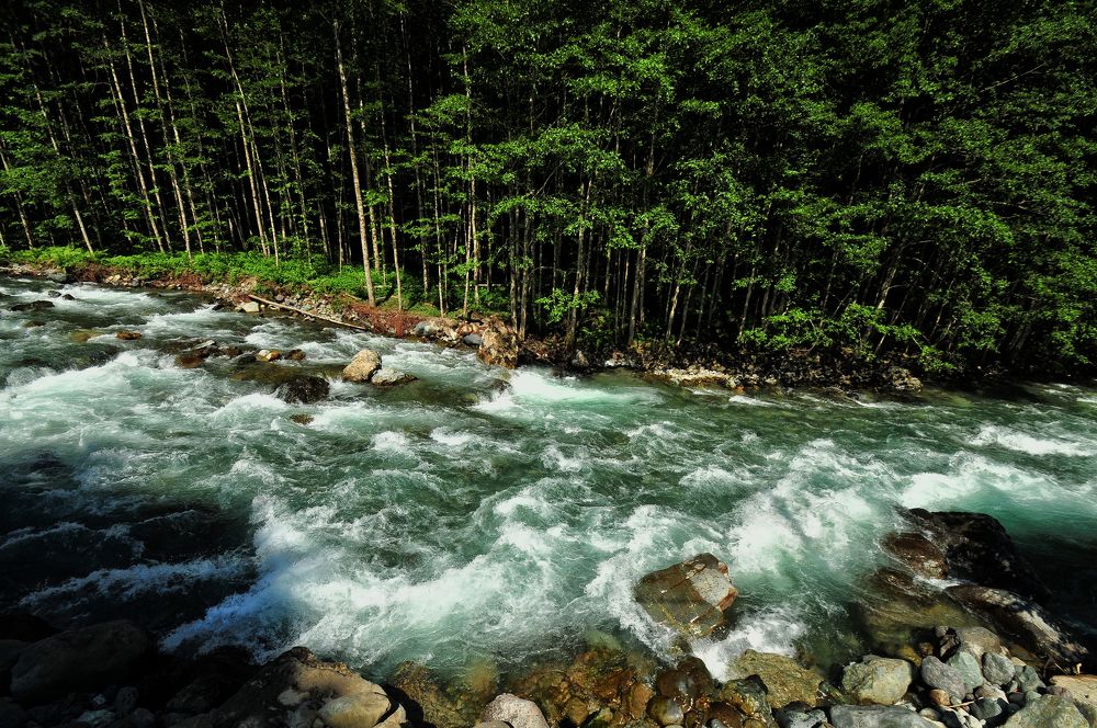 Photograph by Muzaffer Sütlüoğlu