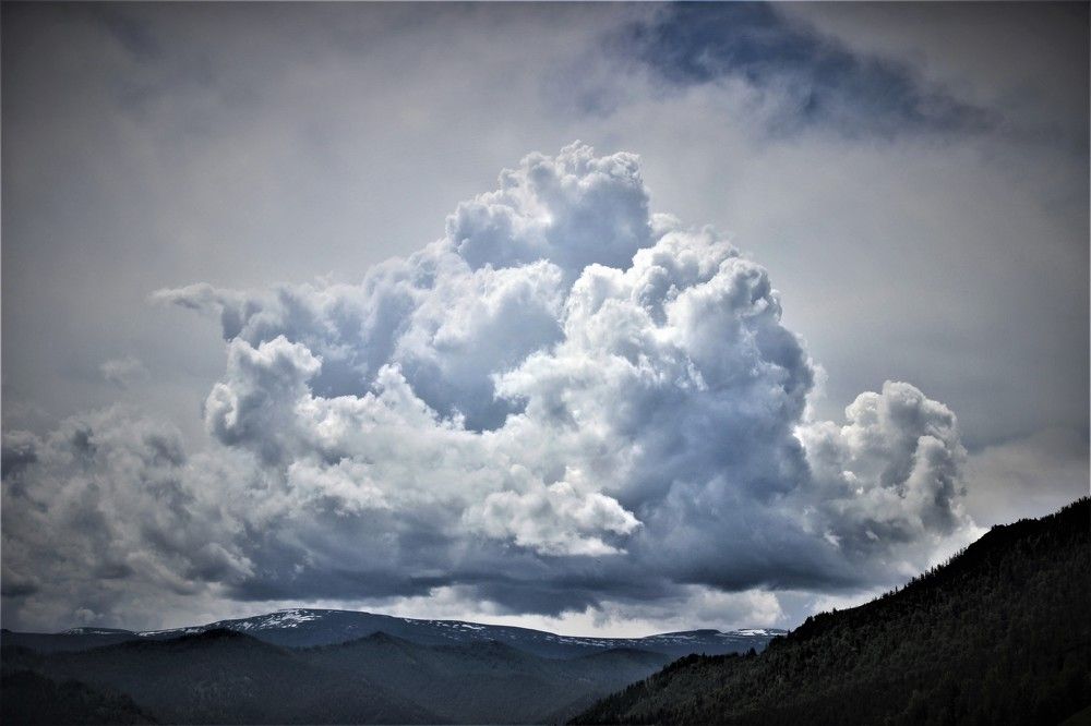 Photograph by Анна Чадова