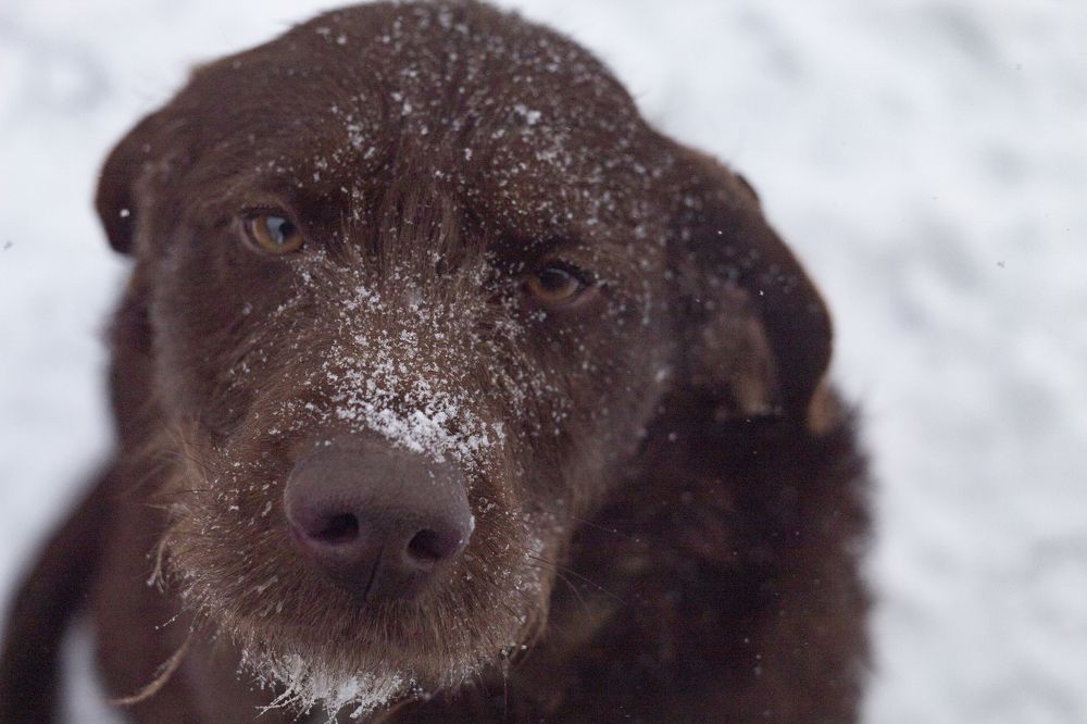 Photograph by Максим Клименков