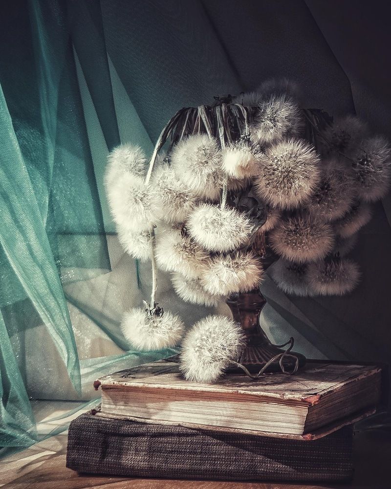 Фотография автора Виктория Шаманова