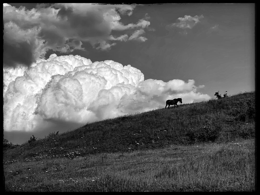 Photograph by Claudiu Copcea