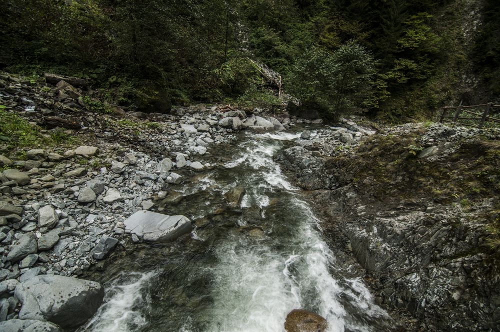 Photograph by Muzaffer Sütlüoğlu