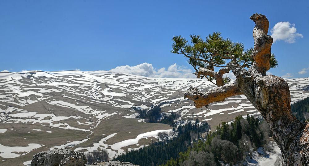 Плато НАГО-НАКИ  2