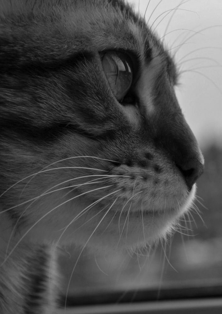 Photograph by Irina Lobko