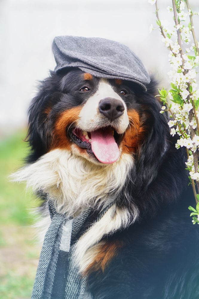 Photograph by Ольга Никулина