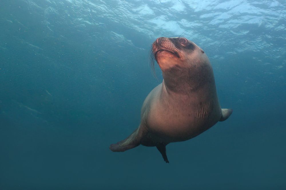 Photograph by Gonzalez Paul Andres