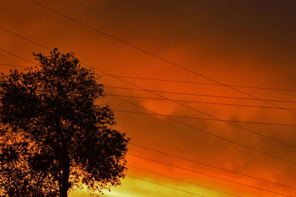 Photograph by Татьяна Дорожко