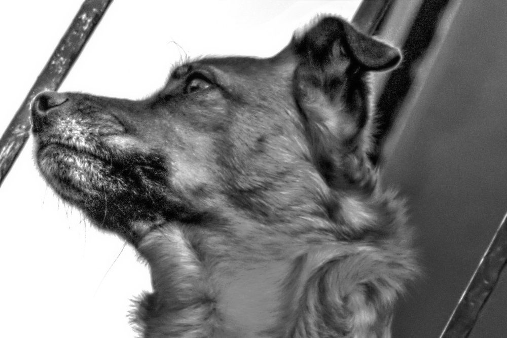 Photograph by SIMONE CIULLI