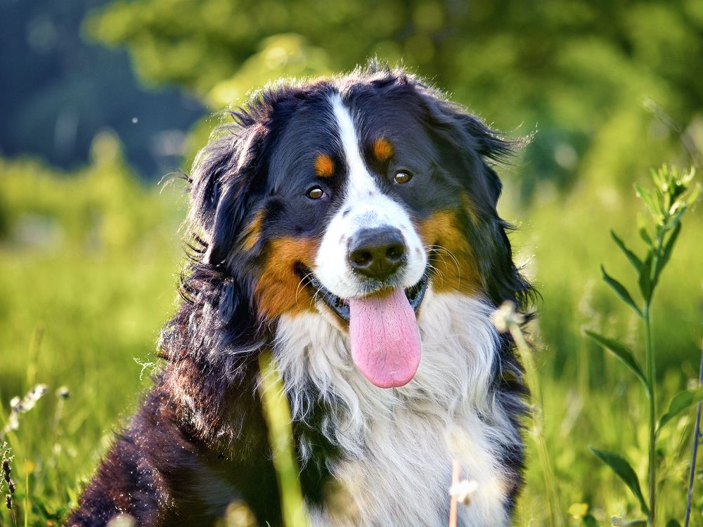 Photograph by Ольга Никулина