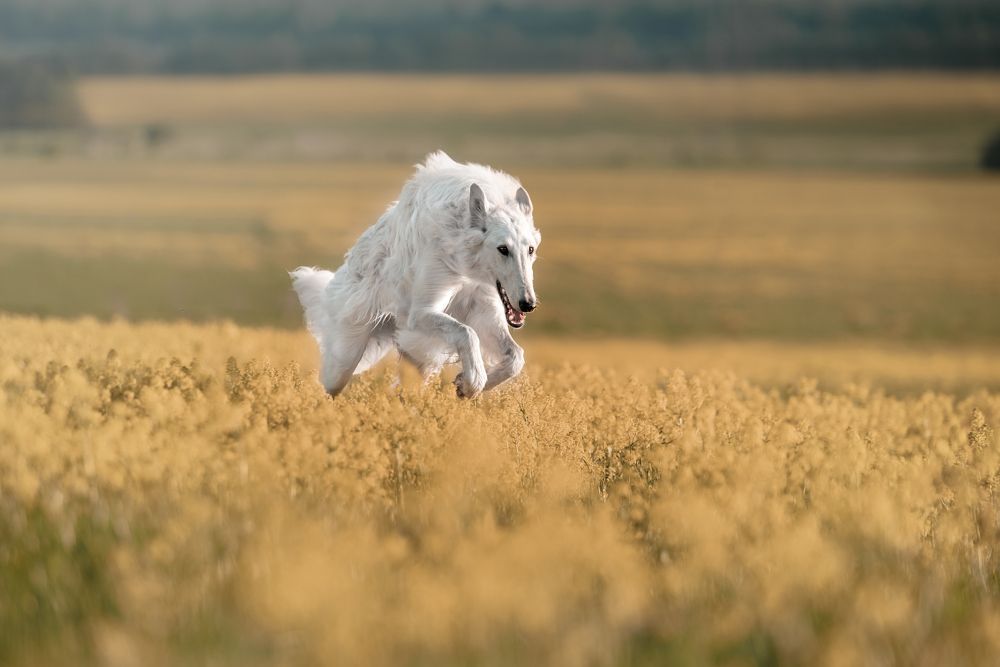 Фотография автора Ирина Мороз