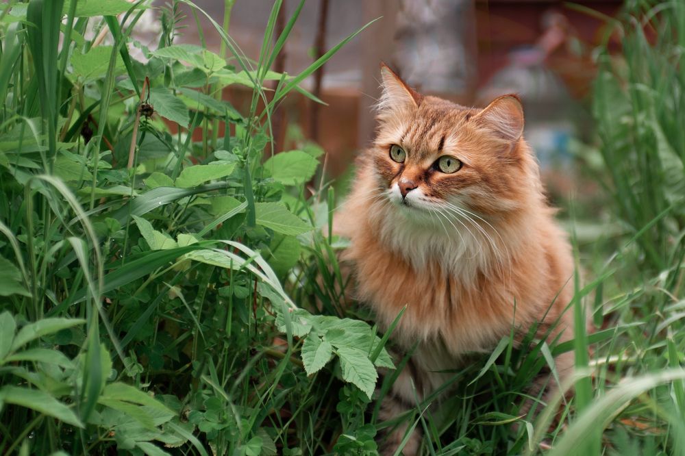 Photograph by Ольга Калачкина