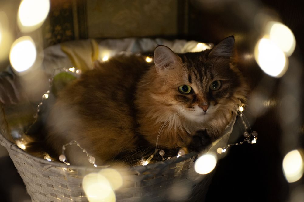 Photograph by Ольга Калачкина