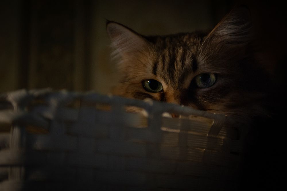 Photograph by Ольга Калачкина