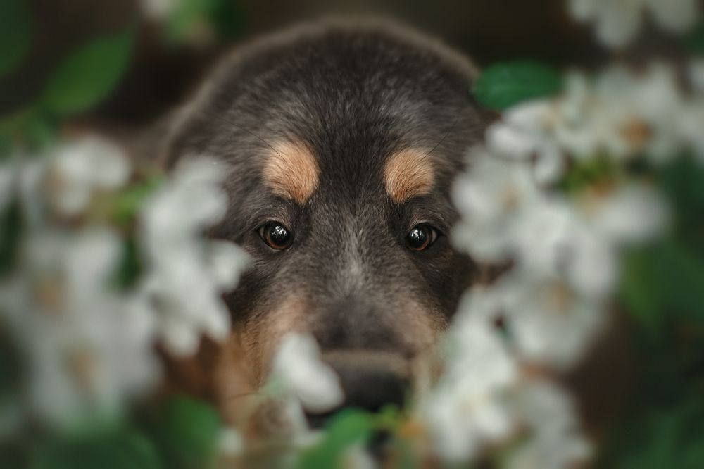 Photograph by Лера Васильчева