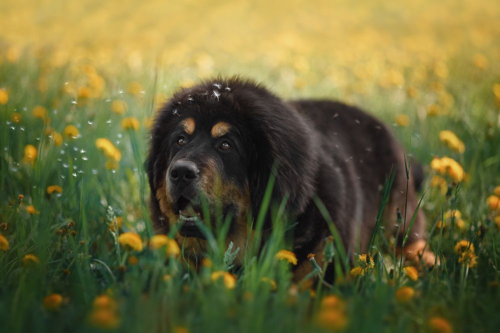 Photograph by Лера Васильчева