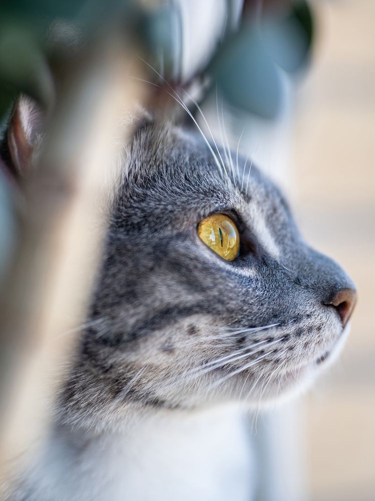 Photograph by Виталий Касьянов