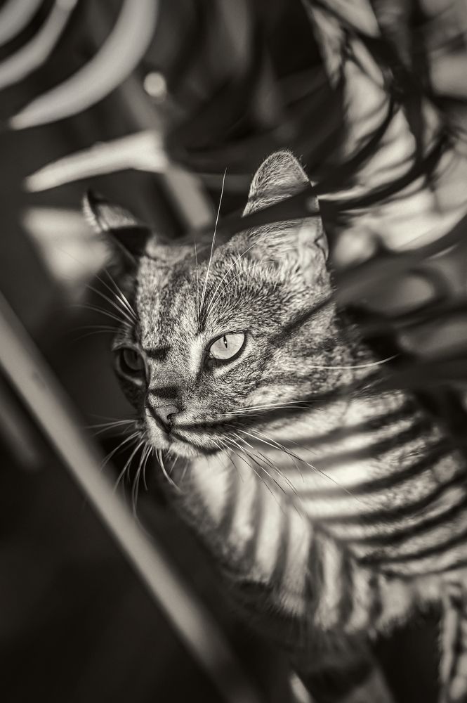 Photograph by Виталий Касьянов