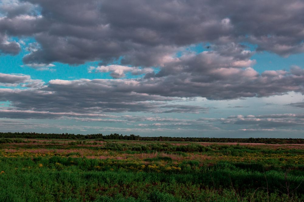 Photograph by Ковалев Николай