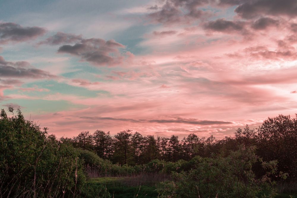 Photograph by Ковалев Николай