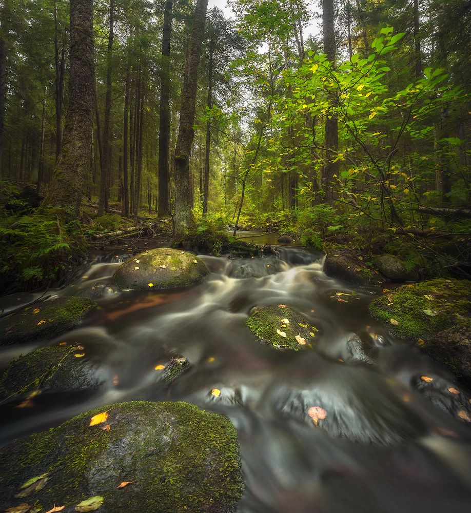 Photograph by Алексей Марголин