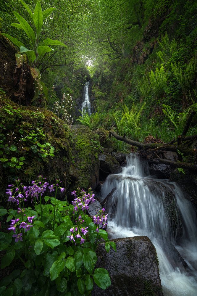 The little Paradise.