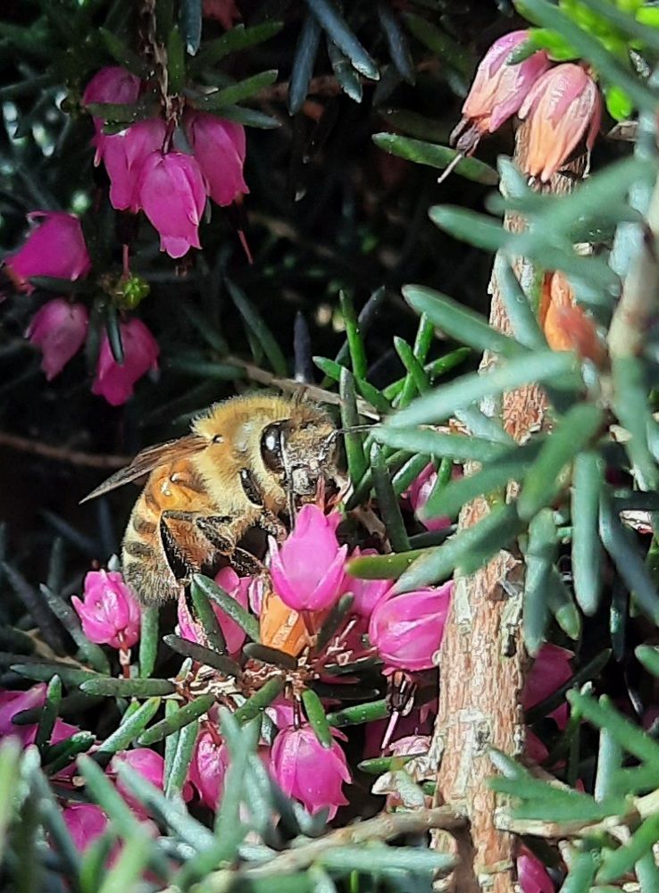 Photograph by Dita Lapinska