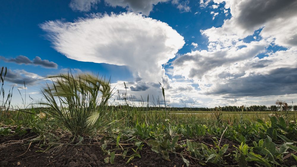 Photograph by Vladimir Schelkunov