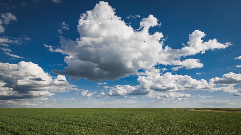 Photograph by Vladimir Schelkunov