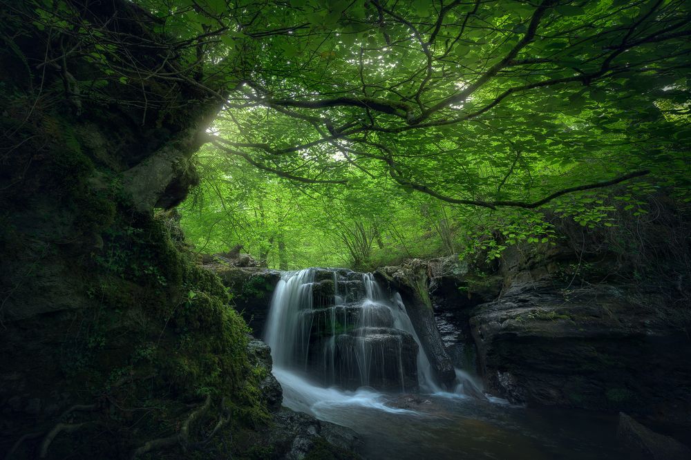 Photograph by Sergio Saavedra Ruiz