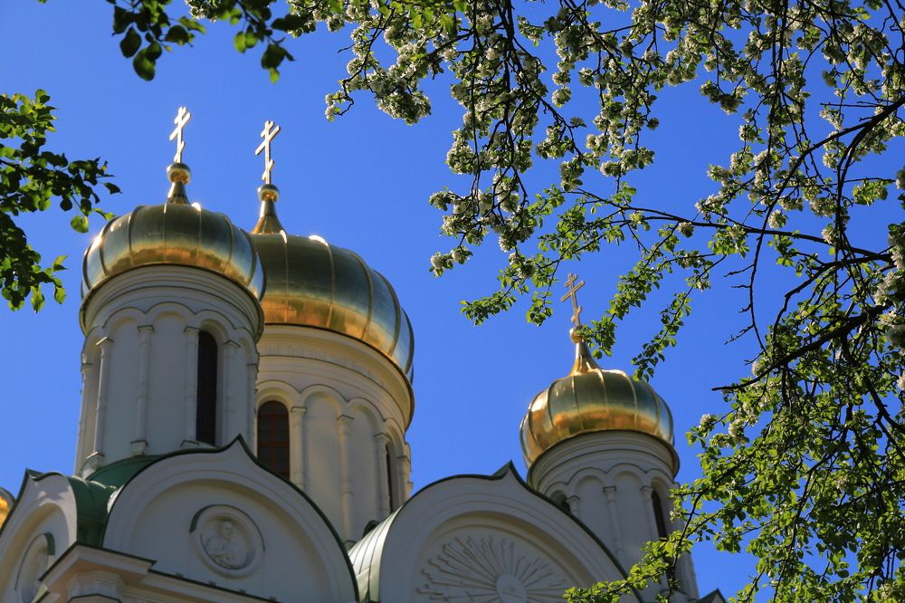 Photograph by Николай Бакулин